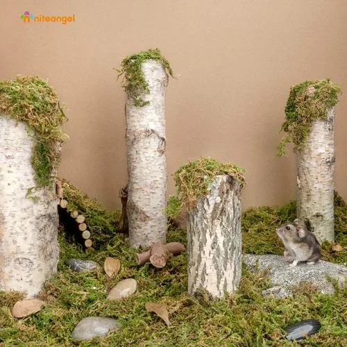 Vista 2 de Niteangel Cama de musgo natural suave de musgo de bosque de 5L para hámsters sirios enanos, jerbos, ratones, degus u otros animales pequeños