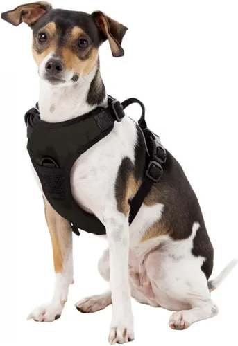 Vista 3 de Littlearth NHL Arnés para mascotas con clip frontal unisex NHL