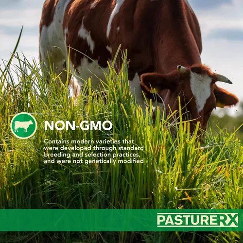 Vista 2 de Barenbrug PastureRX Premium - Mezcla de semillas de césped y forraje, 23 libras (norte y transición)