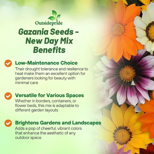 Vista 3 de Outsidepride 25 semillas perennes Gazania New Day Mix tolerantes al calor y la sequía semillas de cobertura del suelo para plantar