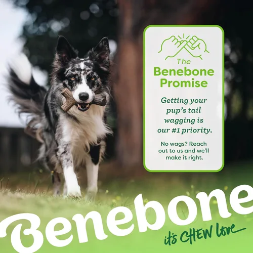 Vista 6 de Benebone Maplestick - Juguete para morder de madera real duradero para perros, fabricado en Estados Unidos, tamaño L Huesos de perro duraderos