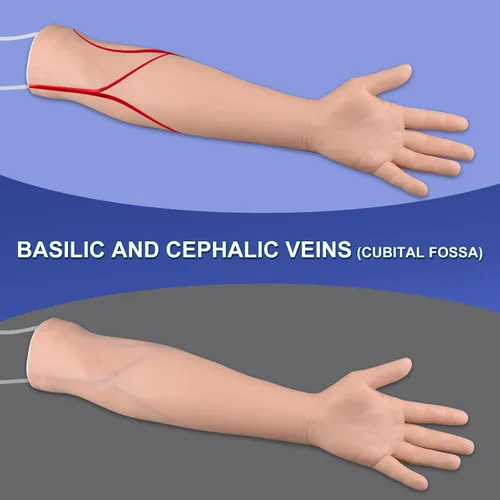 Vista 3 de Medarchitect IV Kit de práctica de brazo de inyección y flebotomía con infusión intravenosa, extracción de sangre, técnicas de venopuntura
