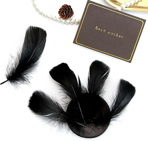 Vista 5 de 300 piezas de plumas negras de 2-3 pulgadas, plumas a granel para manualidades, accesorios para atrapasueños, proyectos de arte, manualidades DIY