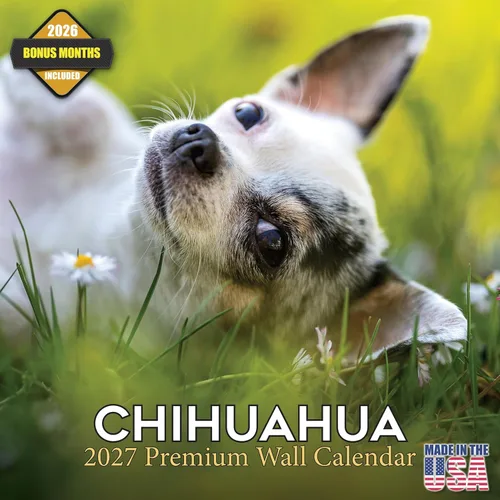 Vista 123 de Calendario de Lebrel Afgano 2025 2026, calendario mensual de pared de raza canina, 12" x 18" abierto, papel grueso sin traspaso, ideal para regalo
