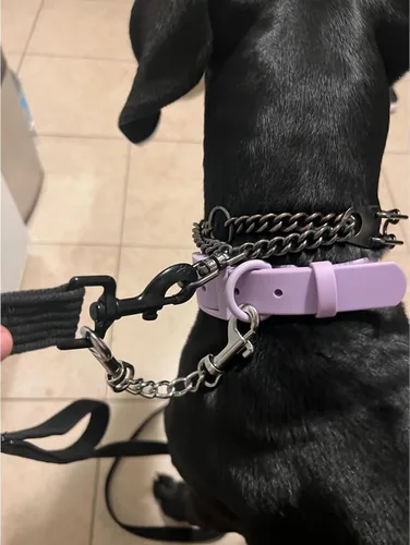 Vista 6 de MOZETO Clip de seguridad para collar de perro, respaldo pesado de acero inoxidable para collar de punta, arnés de perro collar conector de correa