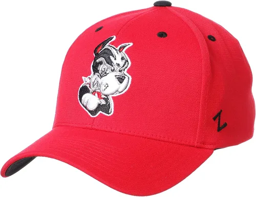 Vista 18 de ZHATS - Sombrero ajustado elástico para hombre de la NCAA, color del