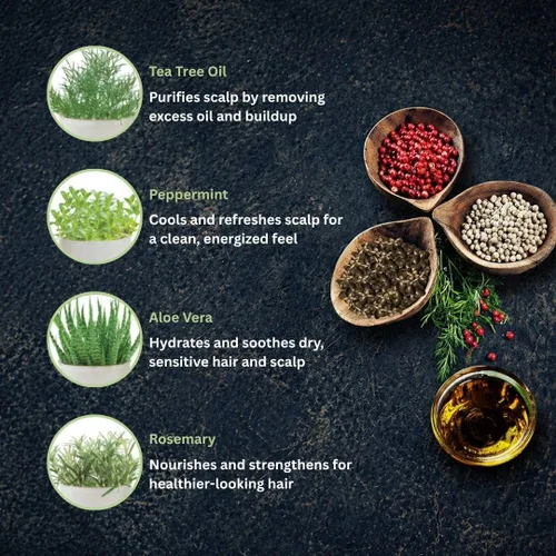 Vista 4 de Daeng Gi Meo Ri Tea Tree Cool Shampoo Cuidado del cuero cabelludo refrescante con árbol de té y aloe vera Refresca el cabello graso, hidrata