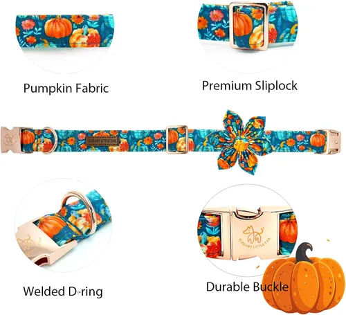 Vista 2 de Collar para perro Elegant little tail de otoño, collares para mascotas de Halloween con flor, lindo estampado de calabaza, collar para cachorro B