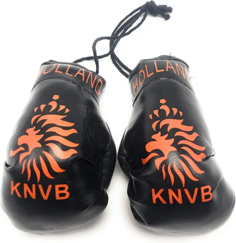 Vista 23 de Mini guantes de boxeo para colgar en el espejo del coche (Camerún)
