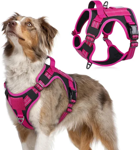 Vista 24 de rabbitgoo Arnés táctico para perros pequeños, chaleco de servicio militar sin tirones con asa y Molle, de fácil control para entrenar y caminar