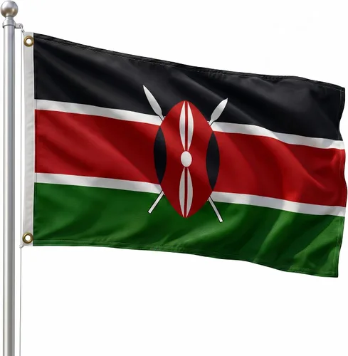 Vista 181 de DMSE - Bandera nacional beninesa beninesa de la República de África Occidental, 2 x 3 pies, 100 % poliéster, 100 % poliéster, resistente a los rayos