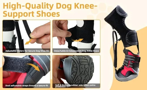 Vista 5 de Soporte de pie con correa (sin soporte para botas para nudillos) para perros: rodilleras para perros, zapatos correctivos para levantar los dedos