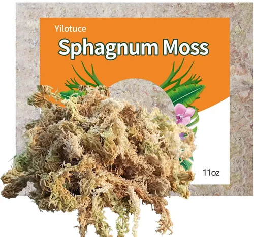 Vista 6 de Musgo esfagnum comprimido de 3.2 oz para plantas, musgo esfagnum prémium cuidadosamente seleccionado para orquídeas
