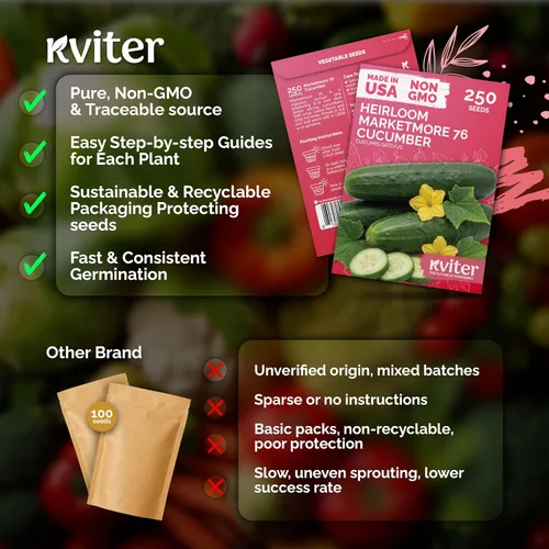 Vista 5 de KVITER 250 Marketmore - 76 semillas de pepino (Cucumis Sativus) – Rebanar semillas de pepino, sabor dulce, paquetes de semillas sin OMG – Semillas