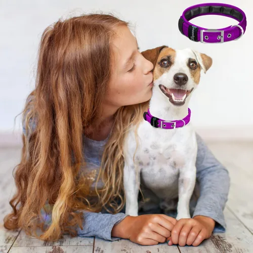 Vista 5 de Comfort Fit Collar de perro – Collar de entrenamiento para perros acolchado suave con hebilla ajustable – Collar para mascotas transpirable y ligero