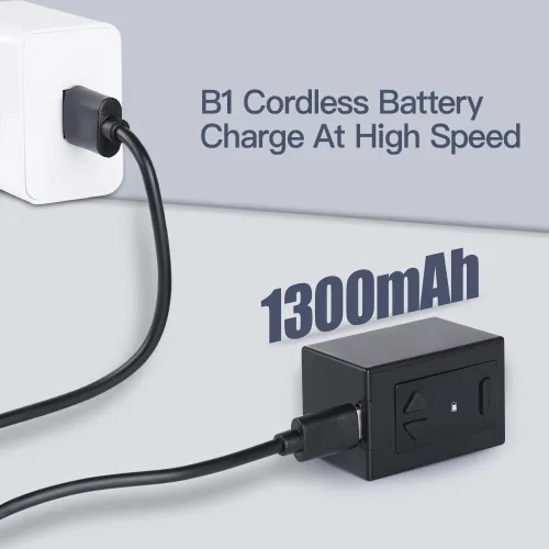 Vista 10 de Dragonhawk B1 RCA - Fuente de alimentación inalámbrica de batería