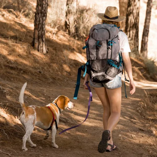 Vista 8 de Correa Viper Biothane K9 para perro de trabajo, impermeable, para rastreo, entrenamiento Schutzhund, a prueba de olores, línea larga con broche