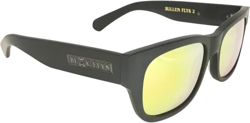 Vista 2 de Black Flys Gafas de sol Sullen Fly 2 Collab