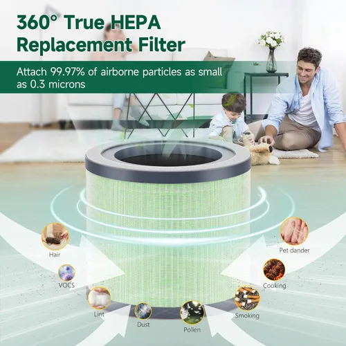 Vista 4 de SAKEGDY Filtro de repuesto TR-8080 compatible con purificador de aire Dreamegg TR-8080, número de pieza RF001, filtración 4 en 1 con filtro