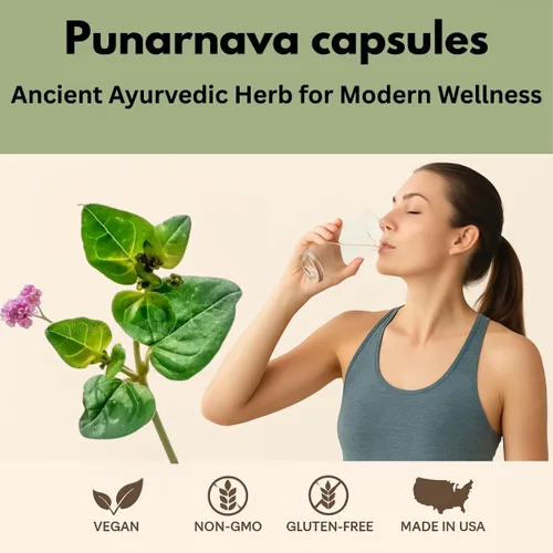 Vista 2 de Morsan Healthcare Punarnava Cápsulas – Paquete de 2 cápsulas vegetales de 60 x 500 mg Boerhaavia Diffusa Hierba ayurvédica 100% natural