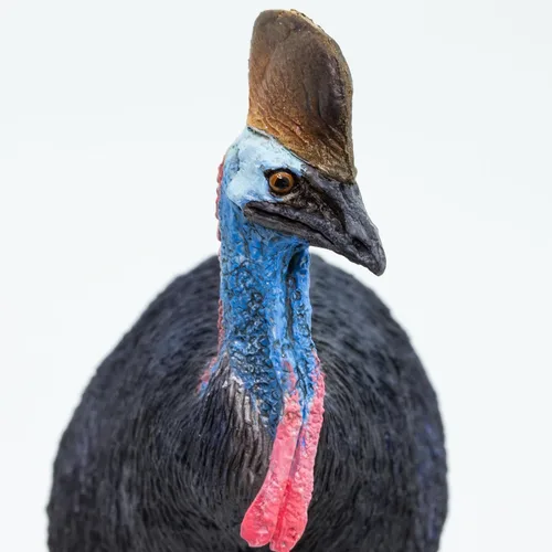 Vista 4 de Safari Ltd. Figura de cassowary - Figura detallada de plástico de 3.5 pulgadas, juguete educativo para niños, niñas y niños a partir de 3 años