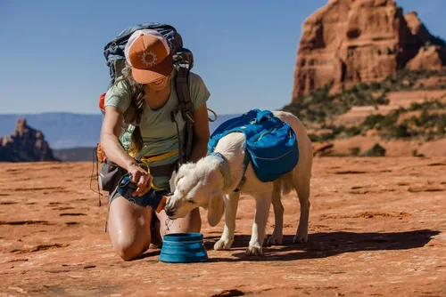 Vista 7 de Ruffwear, Approach Pack - Mochila para perro, color azul oscuro, talla L/XL Azul (Blue Dusk)