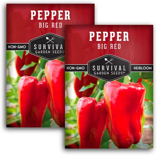 Vista 10 de Semillas de pimiento rojo grande para plantar Pimientos rojos tradicionales de pared gruesa – Polinizado abierto sin OMG – Semillas de jardín