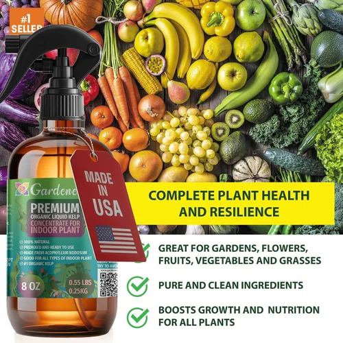 Vista 4 de GARDENERA Spray orgánico profesional de algas marinas para plantas AGLAONEMA – 8 oz – Rocío fertilizante de algas marinas y algas marinas totalmente