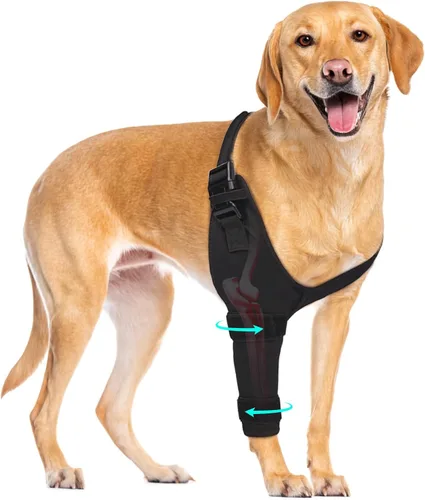 Vista 10 de Protector de codo para perro, mangas para patas de perro antilamidas para higroma, callos y alivio de la artritis, almohadillas ajustables