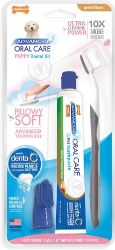 Vista 10 de Nylabone Advanced Oral Care - Kit dental para perros mayores con cepillo de dientes de cerdas suaves y acolchadas, 3
