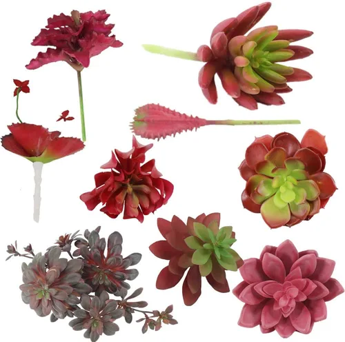 Vista 11 de Zhiheng Plantas suculentas artificiales surtidas (mutil)