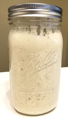 Vista 2 de San Francisco - Iniciador de masa madre deshidratada y seca para hornear pan, iniciador de masa agria, iniciador de pan de masa madura, el mejor