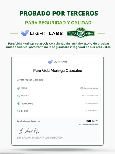 Vista 2 de PURA VIDA MORINGA Polvo orgánico de origen único - Polvo de hojas 100% premium, moringa oleifera orgánica USDA, polvo de hoja de moringa - Perfecto