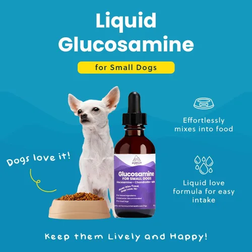 Vista 4 de Paramount Pet Health Glucosamina totalmente natural para perros – 260 mg de glucosamina para perros pequeños – Suplemento líquido