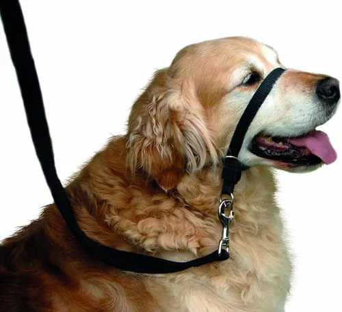 Vista 6 de BARKELSS - Collar para cabeza de perro, ajustable acolchado para dejar de tirar, control suave en los paseos, incluye 1 correa y guía