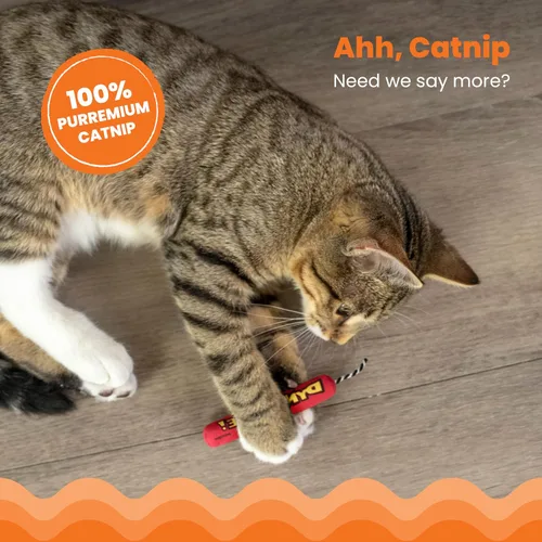 Vista 3 de Catstages - Dinamita Green Magic, palo de hierba gatera para gato Interactive & Solo Play, Bat & Chase, Encourages Physical Exercise &