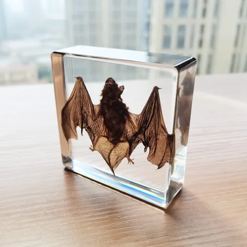 Vista 5 de Muestras de murciélago reales en manualidades de pisapapapeles de resina, colección de taxidermia de animales para educación científica y adorno