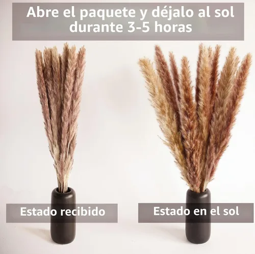 Vista 5 de 100 piezas pequeñas de hierba de pampas boho, 17" pampas secadas naturalmente, decoración de hierba de pampas para bodas, decoraciones de fiesta