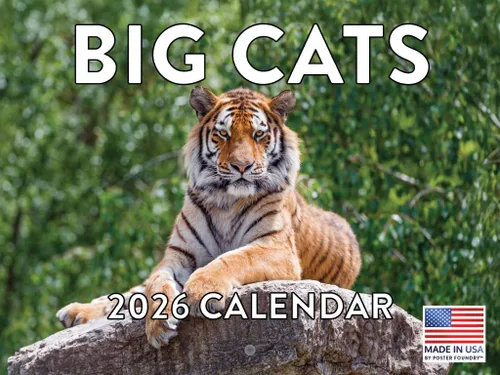 Vista 99 de Calendario mensual de pared de alpaca 2025 Fabricado en Estados Unidos