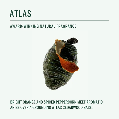 Vista 4 de CORPUS - Desodorante natural en barra para pieles sensibles Sin aluminio + bicarbonato de sodio Unisex, no tóxico, fabricado en los Estados