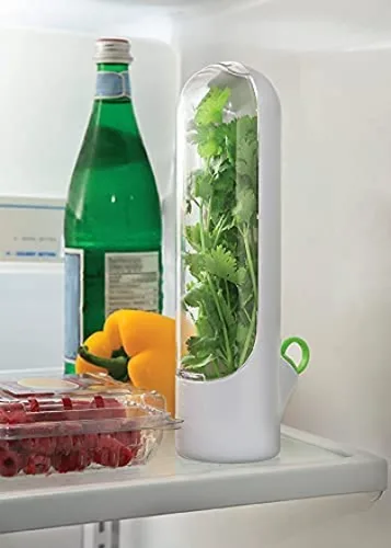 Vista 3 de Recipiente para conservación de cilantro y hierbas frescas en la nevera