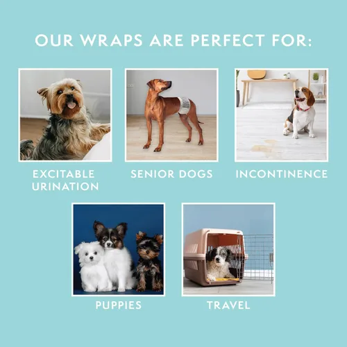 Vista 5 de Simple Solution Pañales Desechables Envolventes para Perros Machos, True Fit, Absorbentes, A Prueba de Fugas con Indicador de Humedad, Pañal