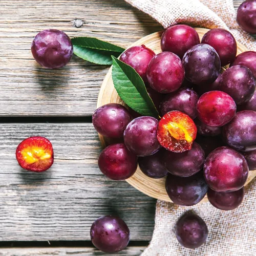 Vista 4 de Más de 10 semillas de frutas de ciruelo silvestre para plantar al aire libre, semillas perennes nativas de árboles frutales Prunus Americana sin OMG