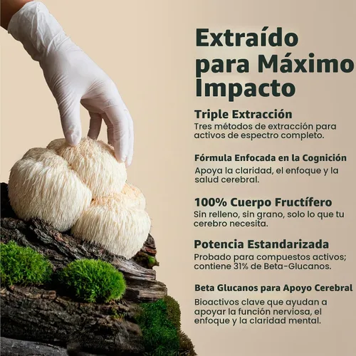 Vista 3 de Freshcap Lions - Suplemento de hongos melena - Apoyo cognitivo, 60 cápsulas