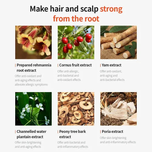 Vista 9 de MASIL Mascarilla reparadora para el cabello 10 premium, tratamiento profundo para cabello seco dañado, queratina profesional coreana y cuidado
