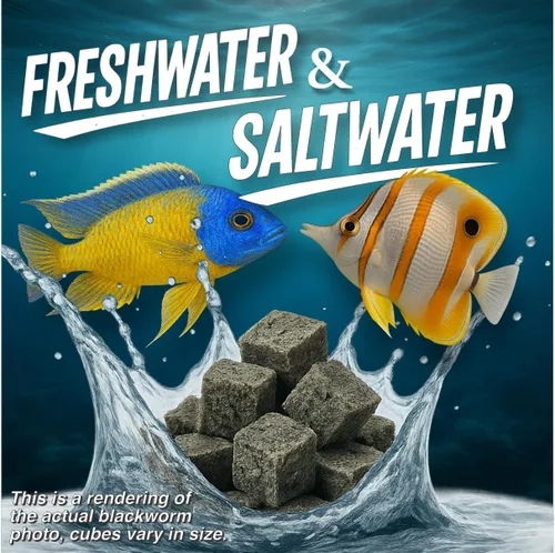 Vista 5 de Super Cichlid Alimento de pescado liofilizado para gusanos negros (0.53 oz)