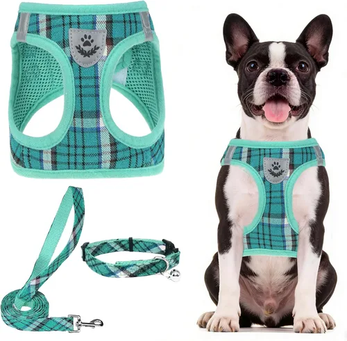 Vista 107 de PUPTECK - Arnés, collar y correa ajustables, sin tirones, para perros pequeños y medianos, cachorros y gatos, pechera reflectante acolchada de malla