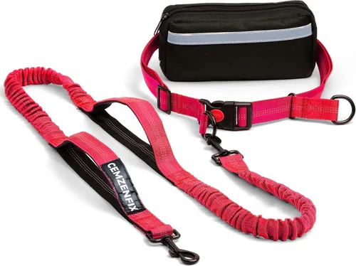 Vista 9 de Correa de perro manos libres con cinturón – Bungee sin tirones, asas acolchadas dobles y bolsa con cremallera para correr, caminar y entrenar
