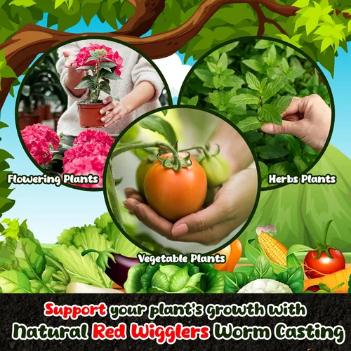 Vista 4 de Fundición de gusano orgánico para plantas de 8 onzas – Vermicast de gusanos rojos para compostaje – Enmiendas del suelo y tierra de jardinería