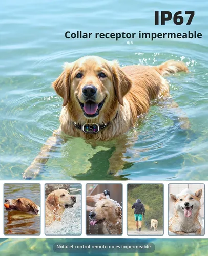 Vista 5 de Collar de Choque para Perros 2 en 1 y Collar Anti-Ladridos para Perros – Collar de Entrenamiento para Perros de 3300 Pies con Control Remoto, Collar